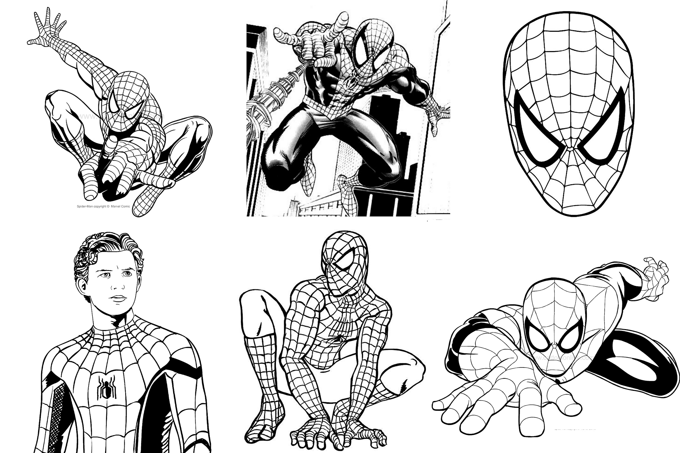Coloriages de Spiderman
