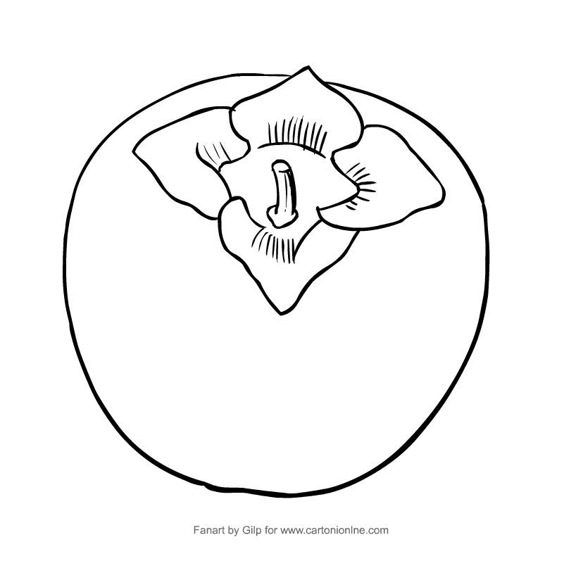 Drawing cachi coloring pages printable