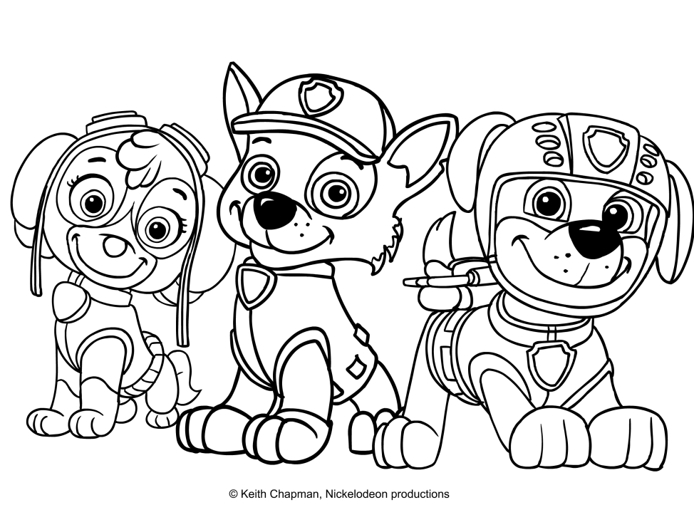 Skye, Rocky and Zuma coloring page - Paw Patrol