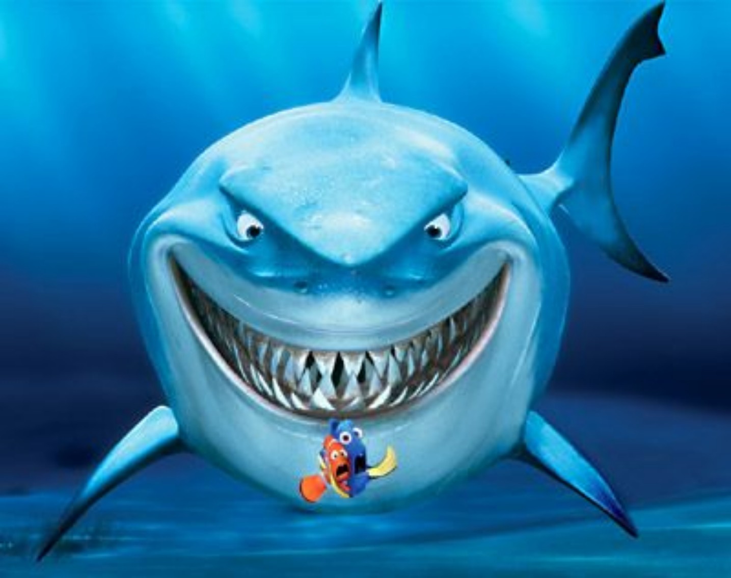 Immagini Alla ricerca di Nemo - Lo squalo