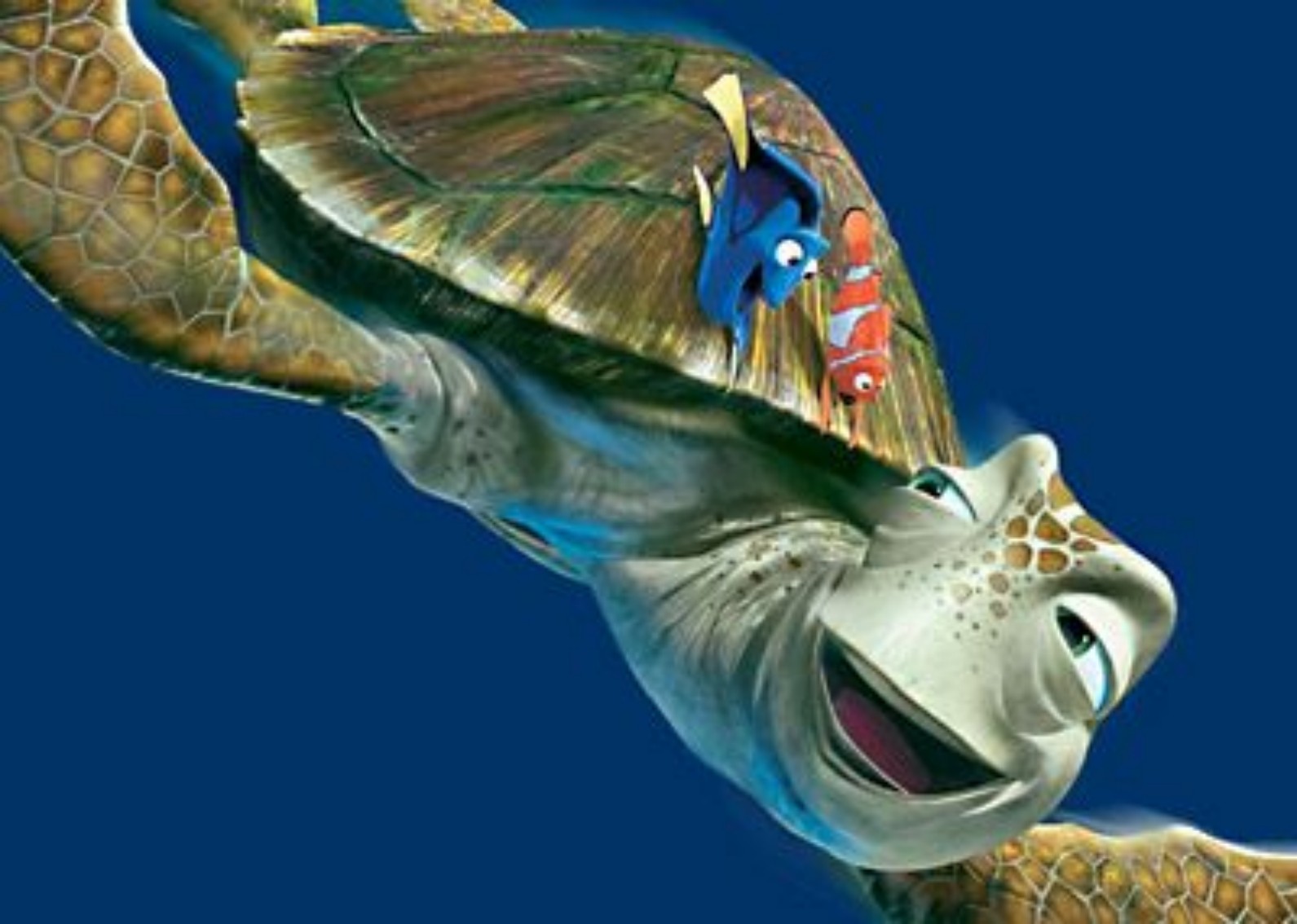 Immagini Alla ricerca di Nemo - la testuggine Crash