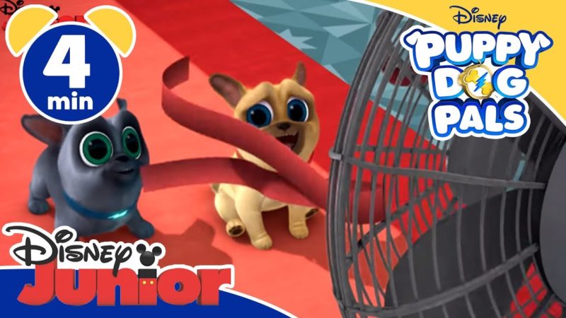 Puppy Dog Pals | In cerca di refrigerio – Disney Junior Italia