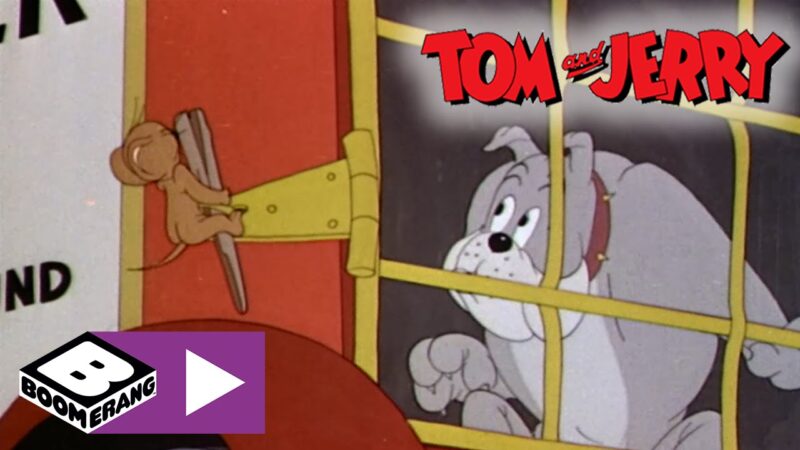 Tom & Jerry | La guardia del corpo | Boomerang