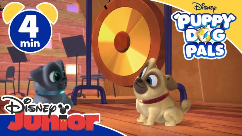Puppy Dog Pals | Un gong "rotoloso" – Disney Junior Italia