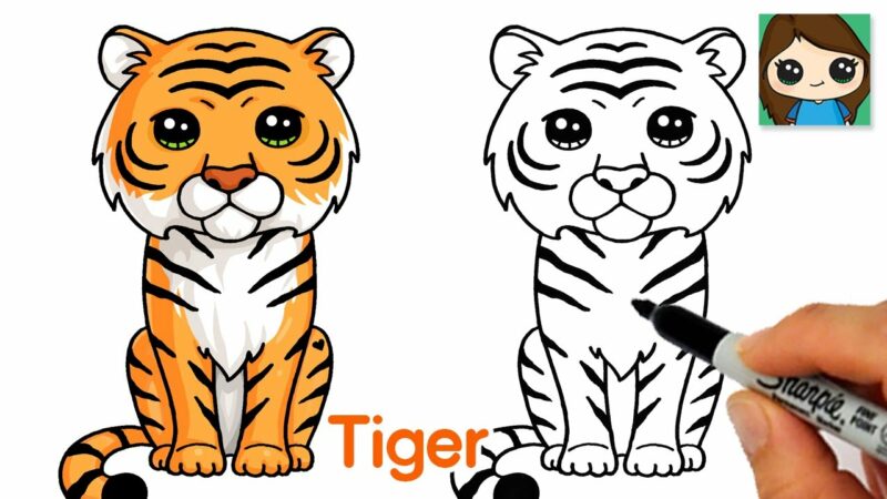 Come disegnare una tigre facile 🐯 Simpatico animale cartone animato