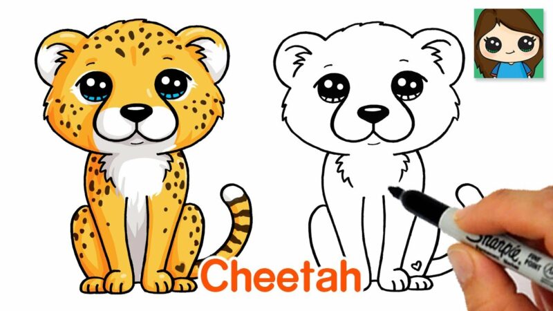 Come disegnare un ghepardo facile |  Animale simpatico cartone animato