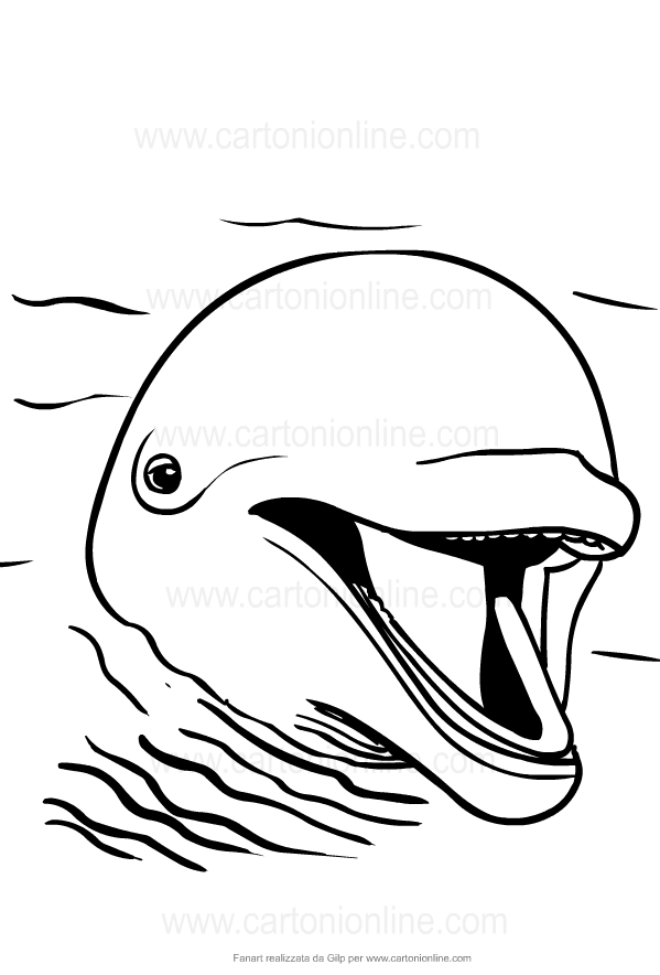 Desenho de golfinhos para impresso e colorir