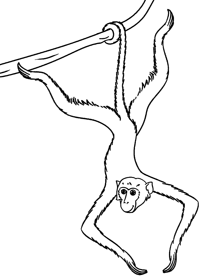 Desenho de macacos para impresso e colorir