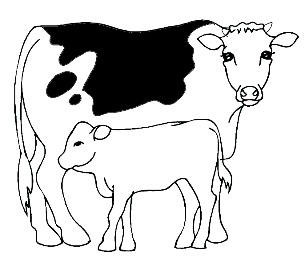 Desenho de vacas para impresso e colorir
