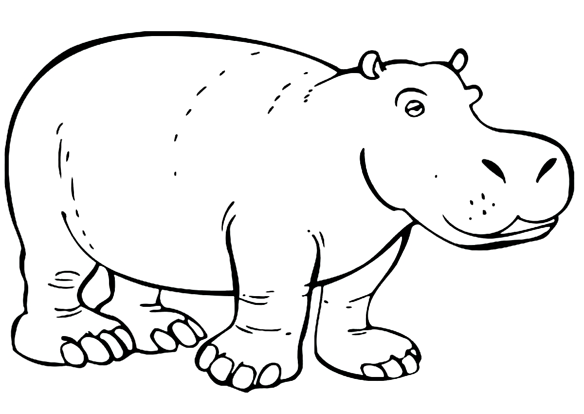 Coloriage de hippopotames  imprimer et colorier