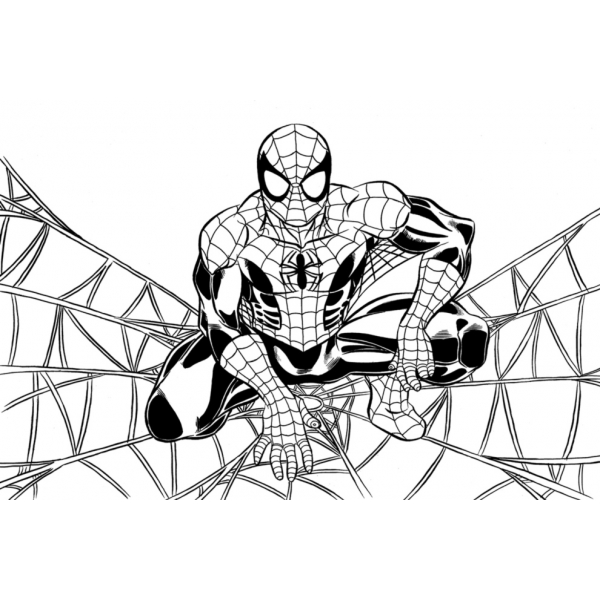 Les coloriages de Spider-Man sulla ragnatela  imprimer et colorier 