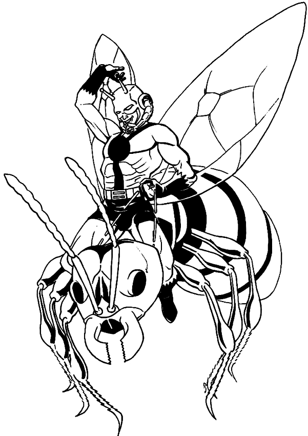 Dibujo de Ant-Man que montar la avispa para imprimir y colorear