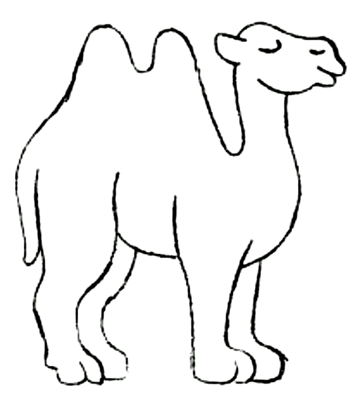 Dibujo de camellos para imprimir y colorear