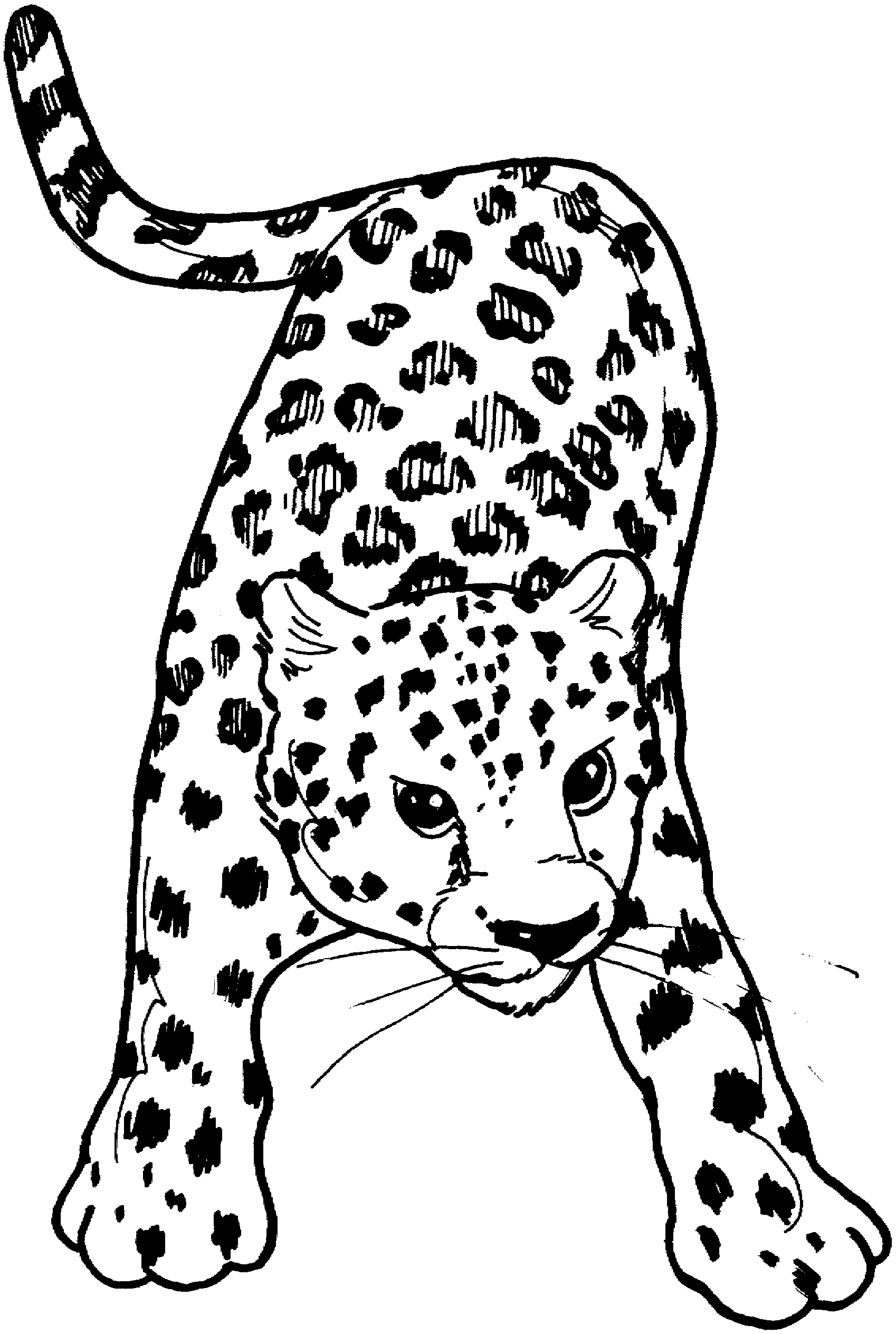 Dibujo de leopardos para imprimir y colorear