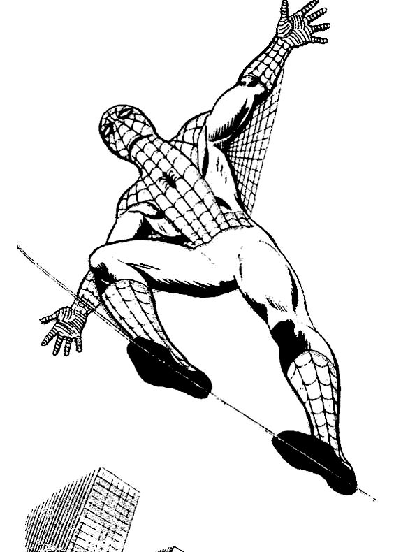 Dibujo de Spiderman balanceador, que camina en el borde de la telaraa para imprimir y colorear 