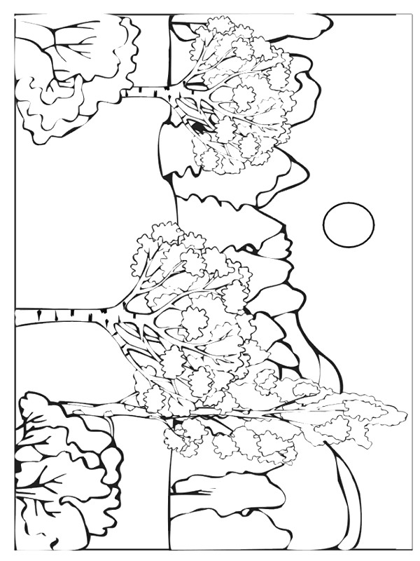 Drawing 4 from Autumn coloring page to print and coloring