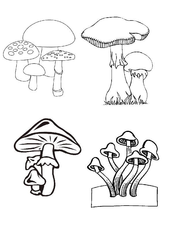 Drawing 8 from Autumn coloring page to print and coloring