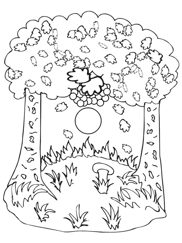 Drawing 15 from Autumn coloring page to print and coloring