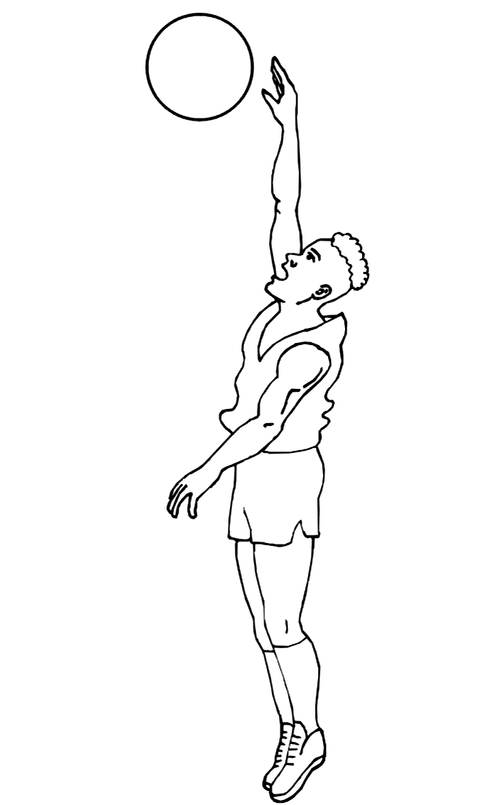 Drawing 7 from Basketball coloring page to print and coloring