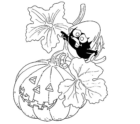 Drawing 15 from Calimero coloring page to print and coloring