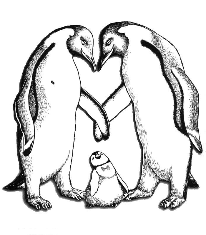Happy feet coloring page to print and coloring - Drawing 3