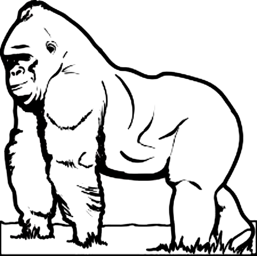 Desenho 37 de King Kong para imprimir e colorir