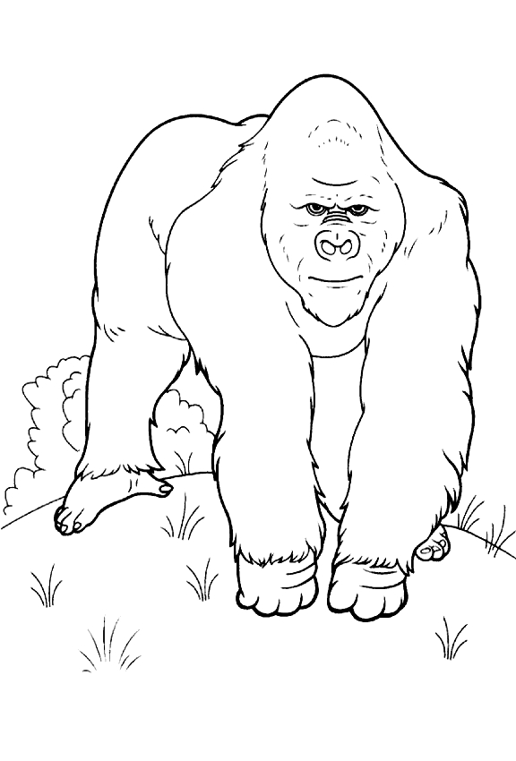 Desenho 39 de King Kong para imprimir e colorir