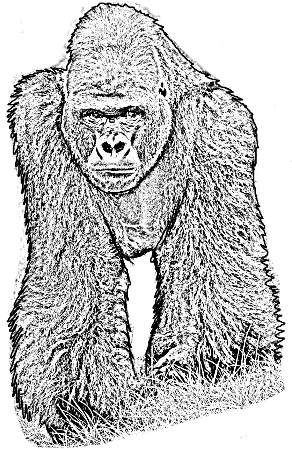 Dibujo 44 de King Kong para imprimir y colorear