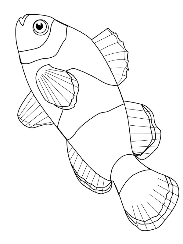 22 drawing of Pisces to print and color