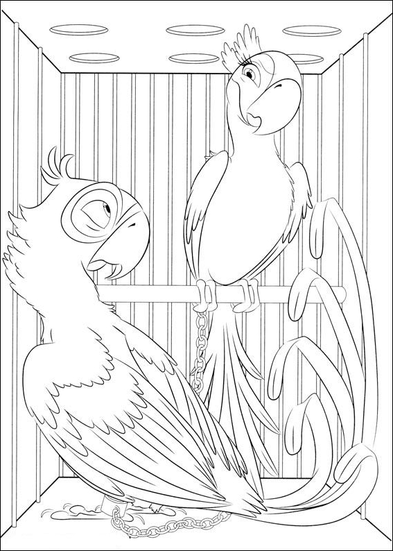 Drawing 12 from Rio coloring page to print and coloring