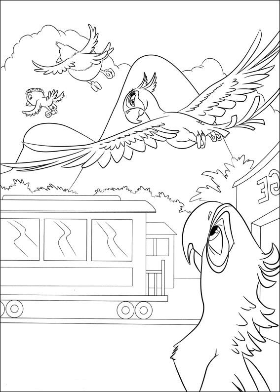 Drawing 24 from Rio coloring page to print and coloring