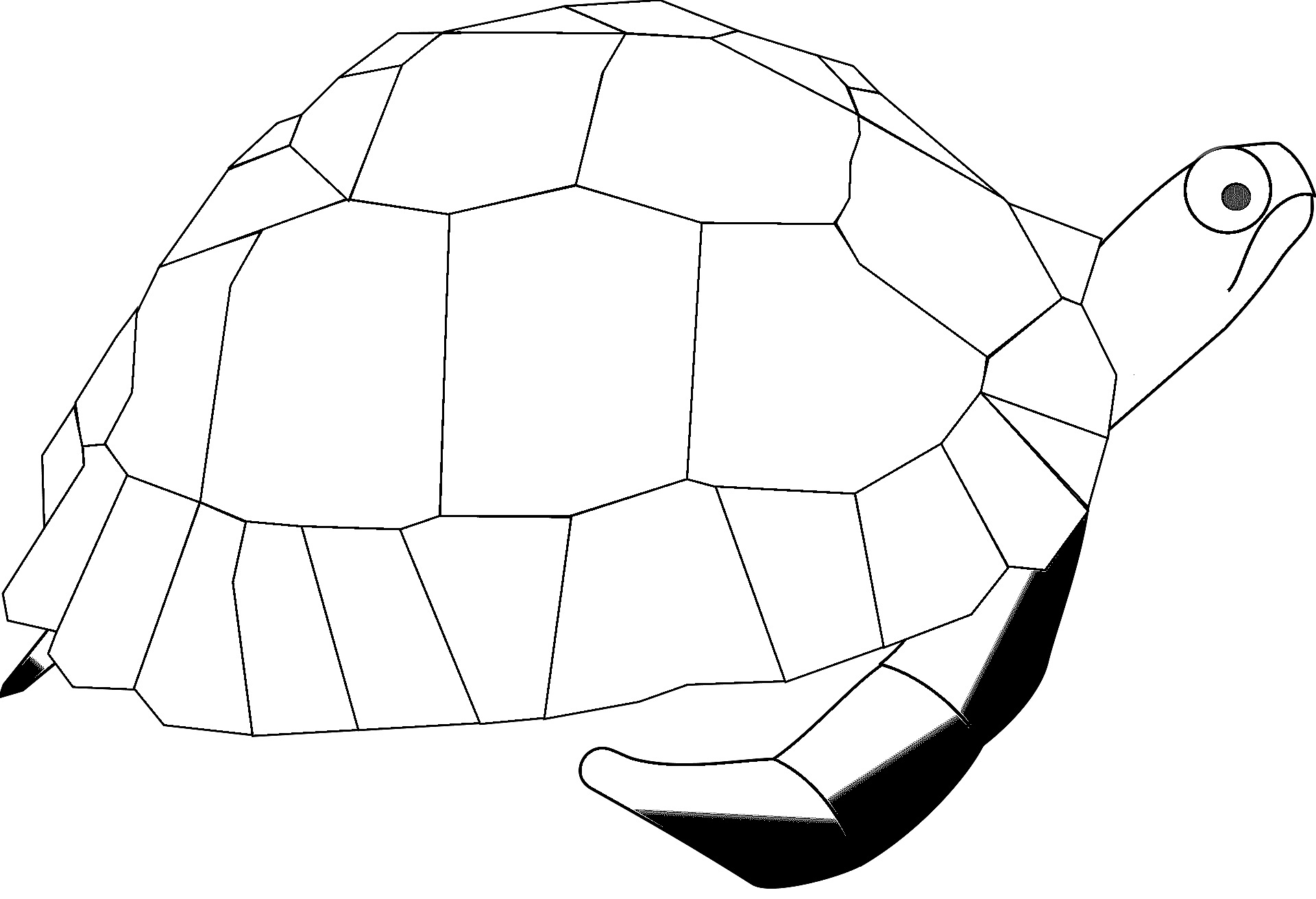 Dibujo para colorear de una tortuga