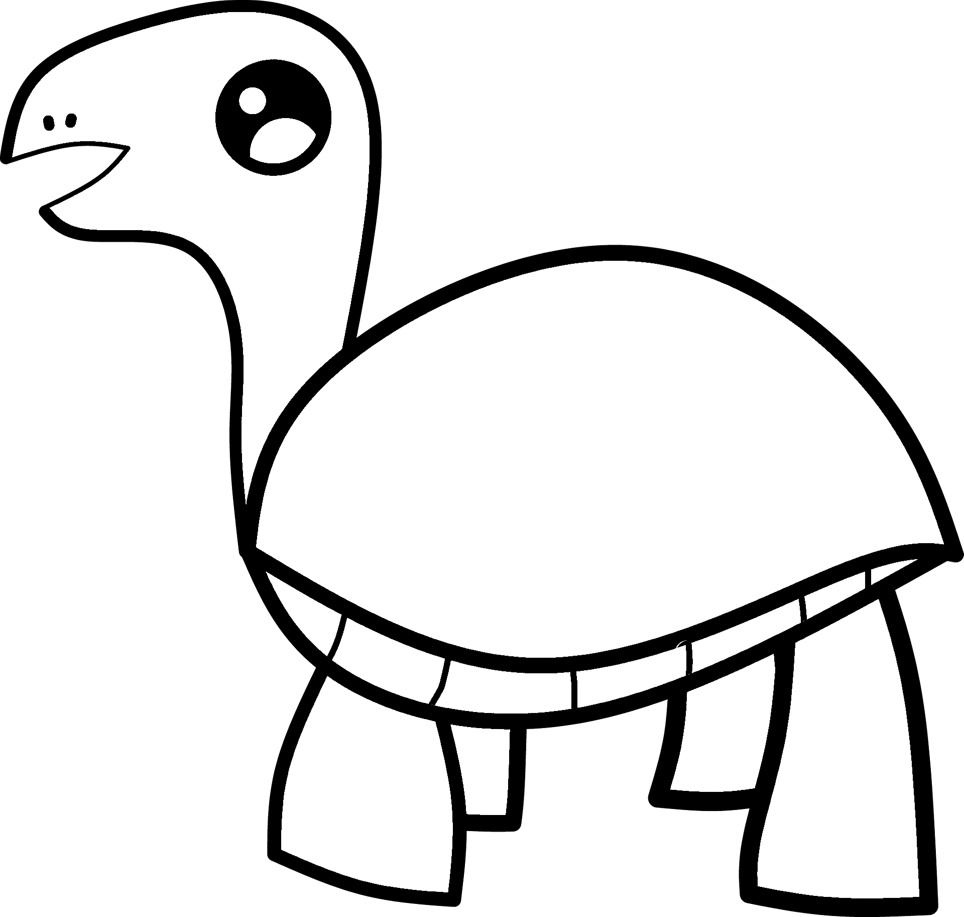 Malvorlage einer Schildkröte