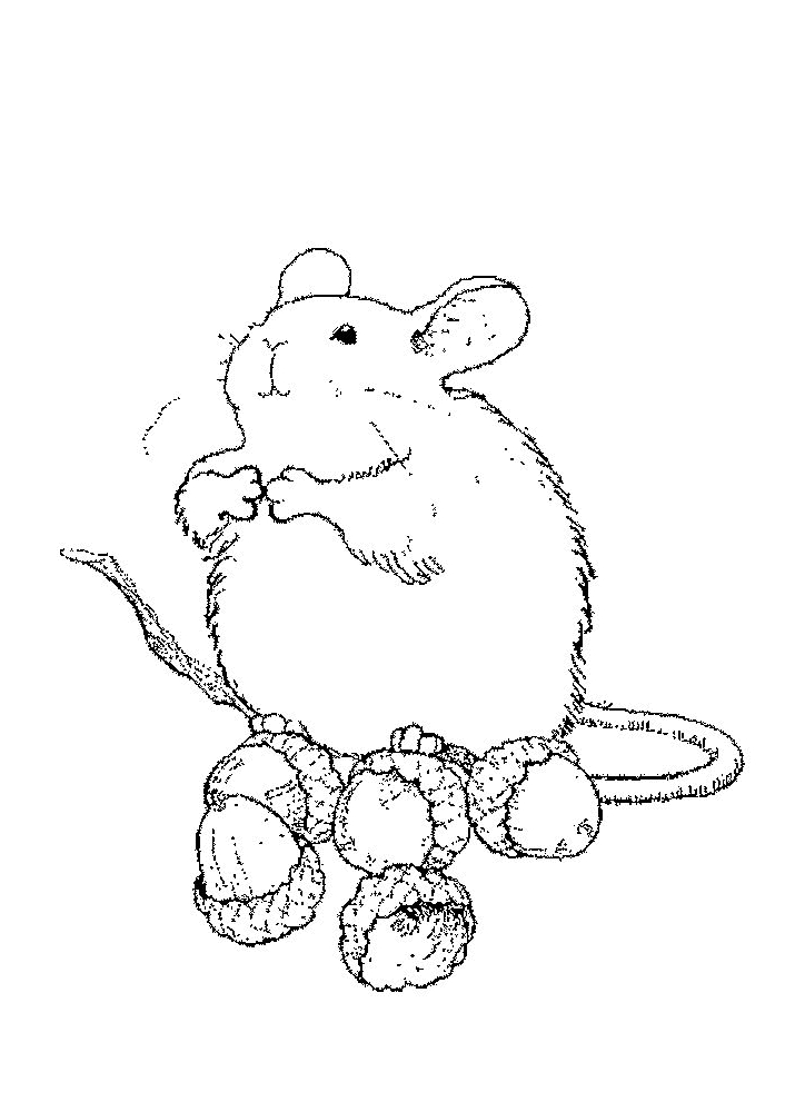 Dessin 8 de souris à imprimer et colorier