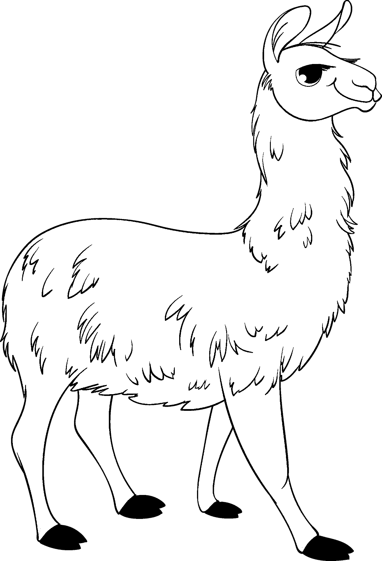 Coloring page of an alpaca