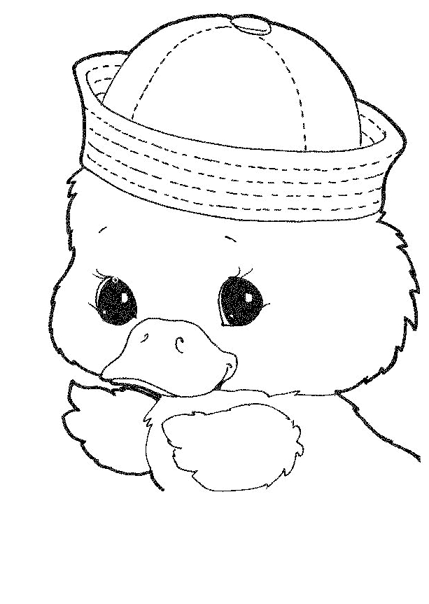 Drawing 10 from Ducks coloring page to print and coloring