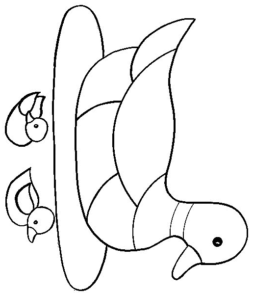 Drawing 13 from Ducks coloring page to print and coloring