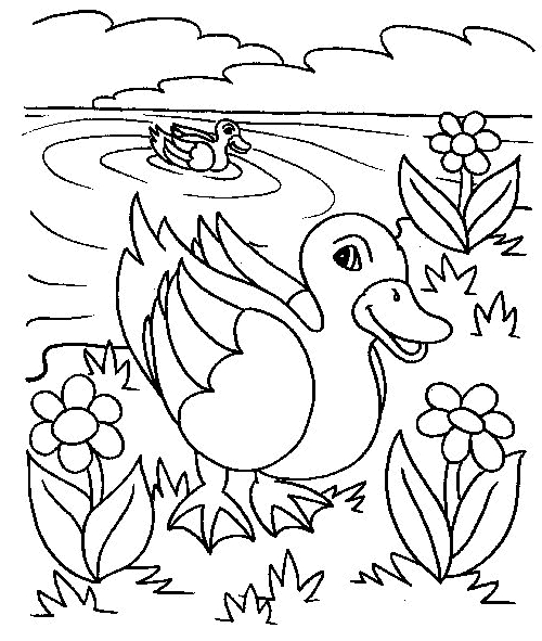 Drawing 21 of ducks to print and color