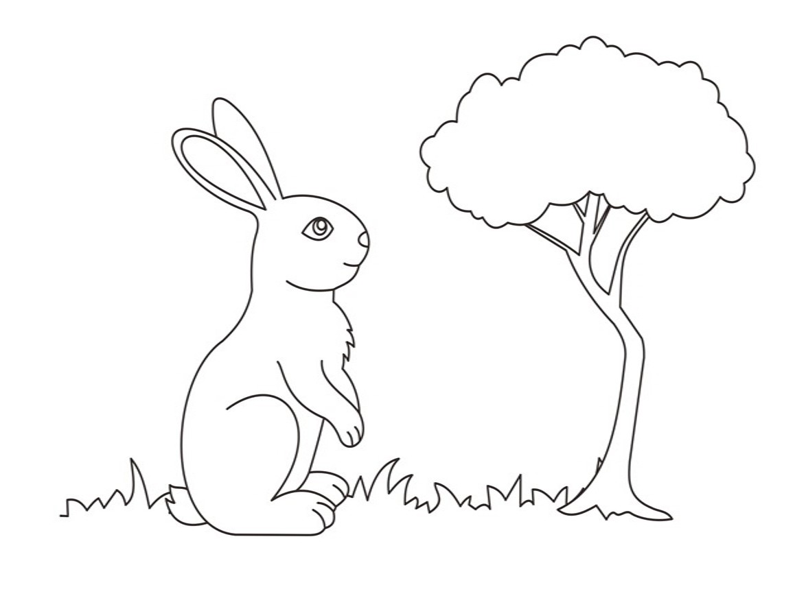 Disegno da colorare di coniglio kawaii