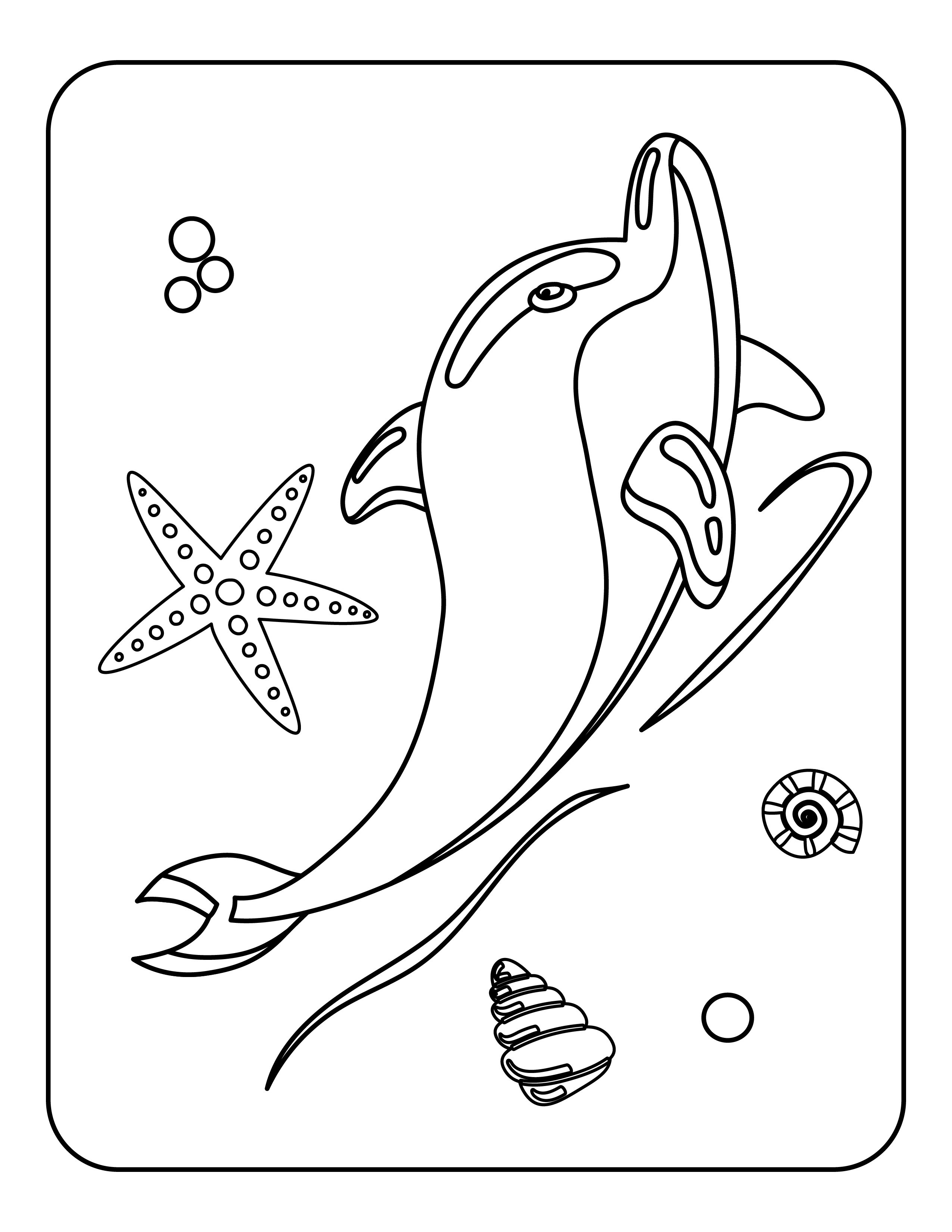 Disegno da colorare di delfino per bambini