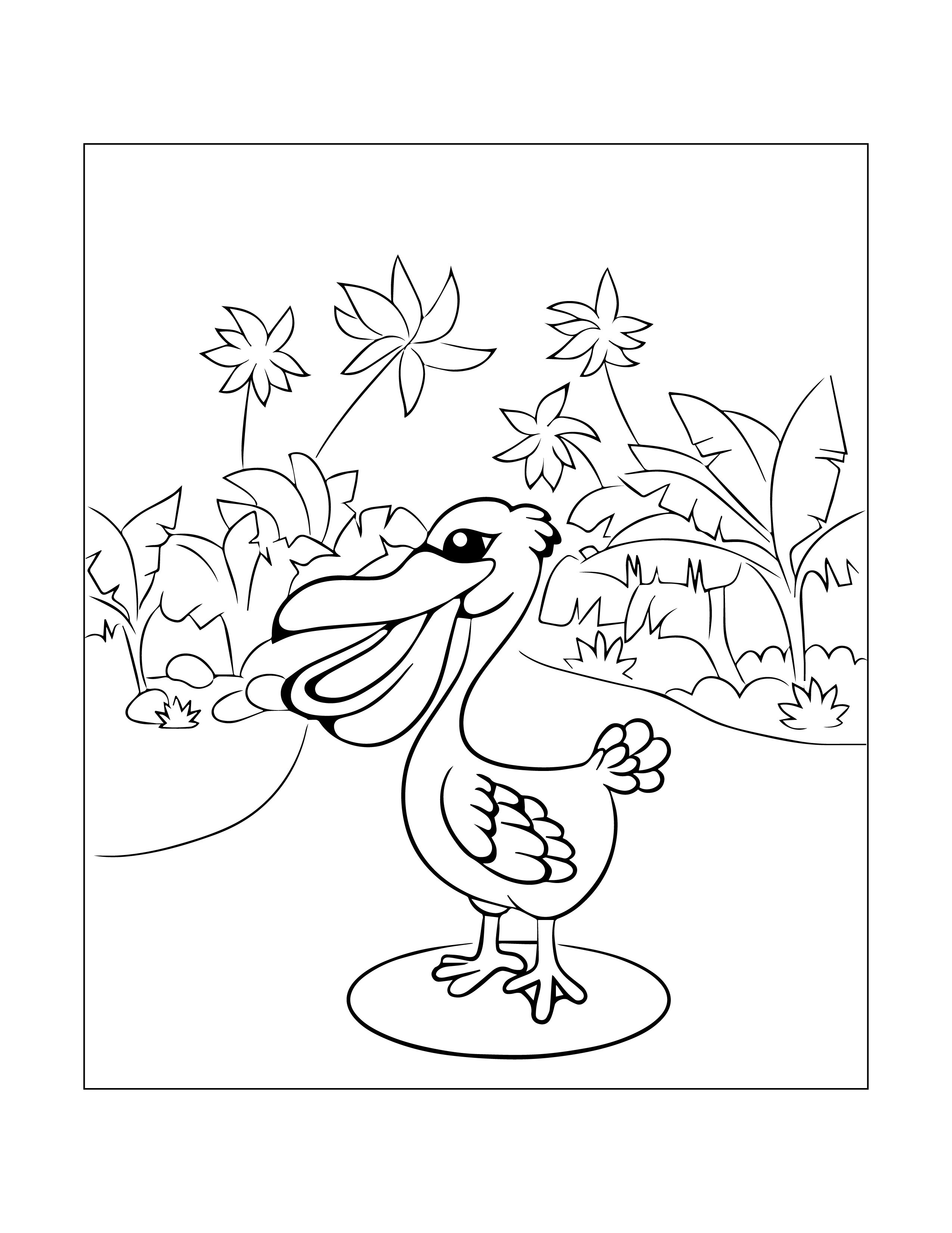 Pelican coloring page for children