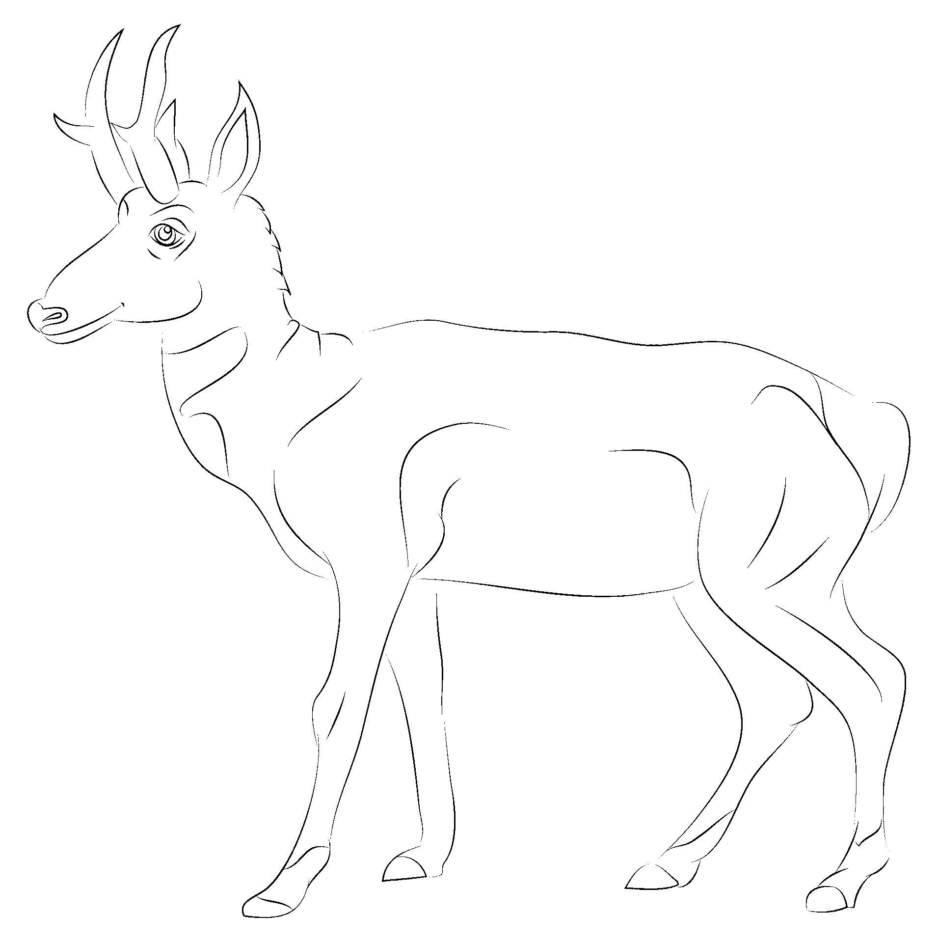 Kleurplaat van een antilope