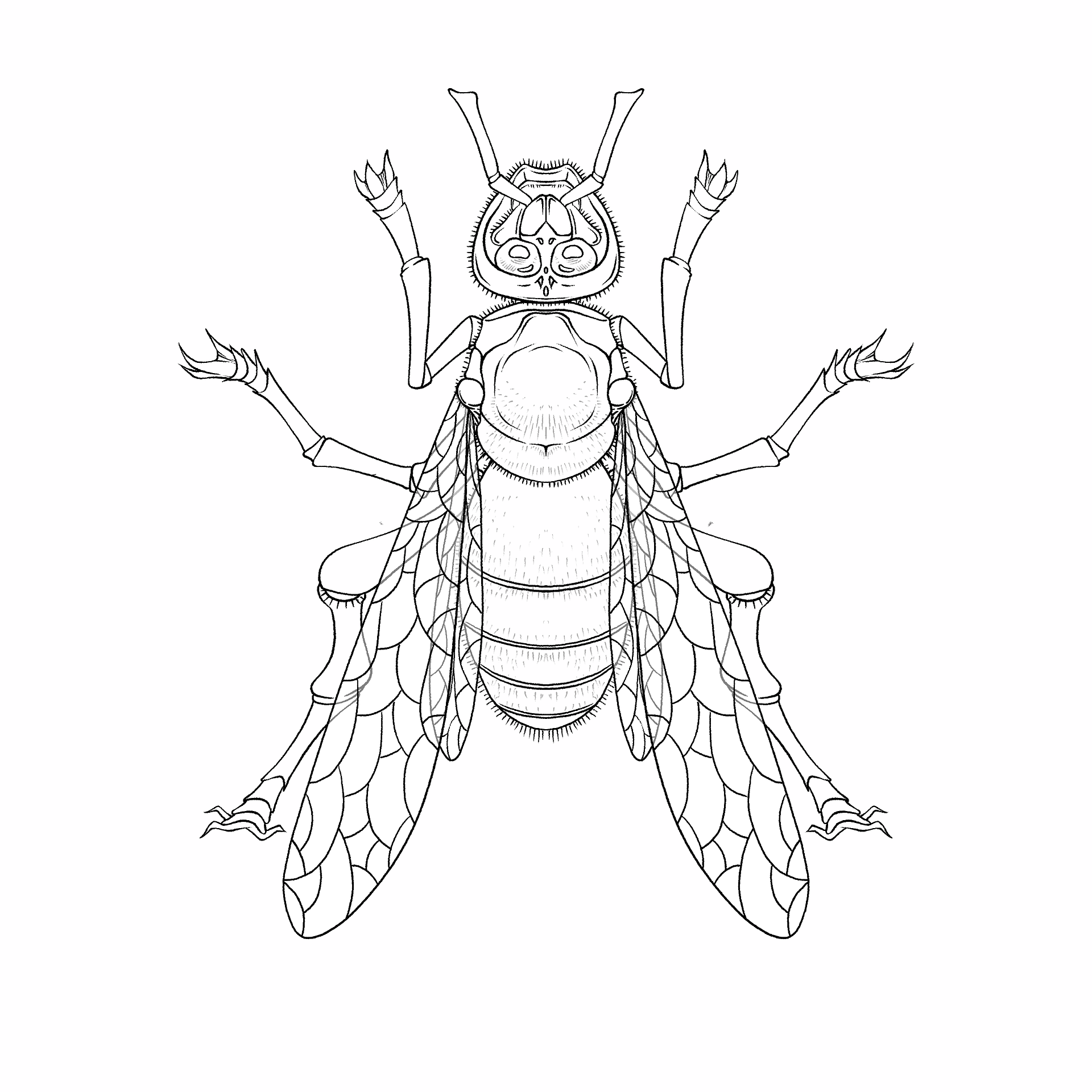 Bee coloring page cartoon style