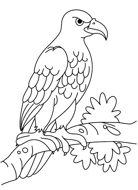 Dibujo 2 de águilas para imprimir y colorear