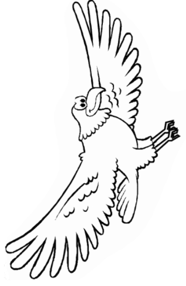 Drawing 18 from Eagles coloring page to print and coloring