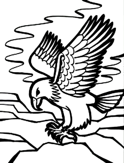 绘画24头鹰以进行打印和着色