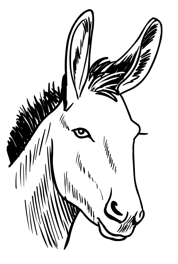 Drawing of donkeys to print and color