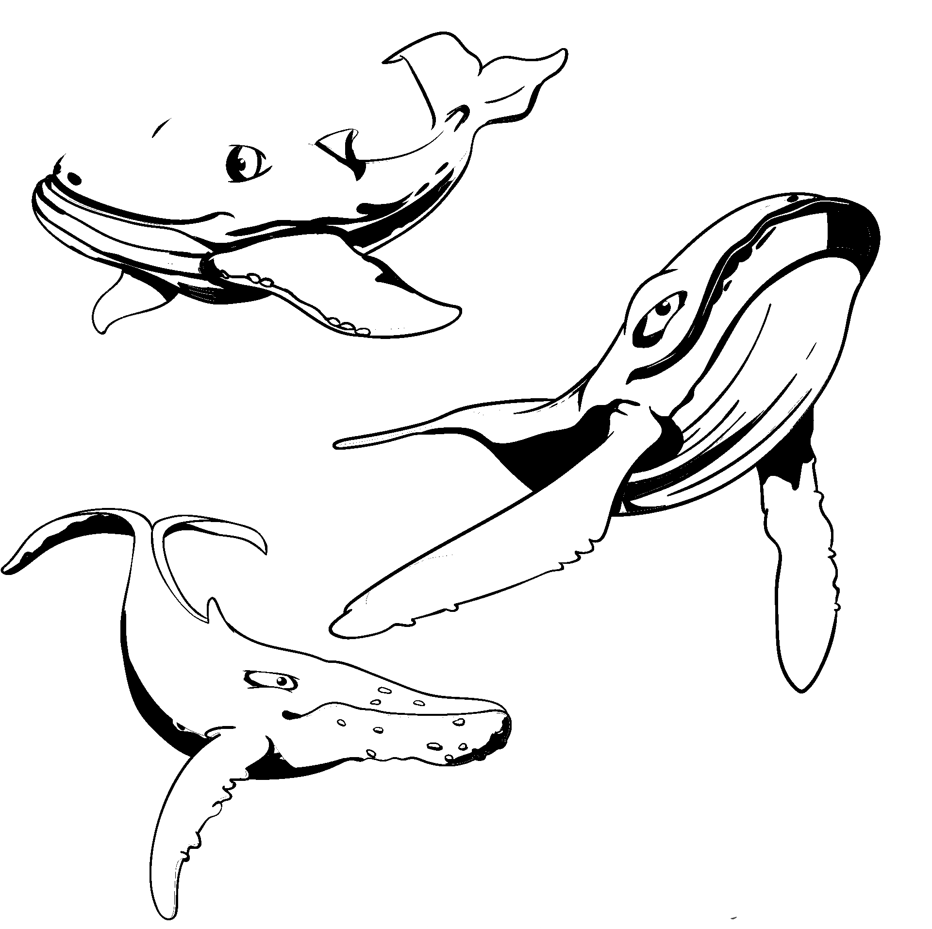 Kleurplaat van een walvis