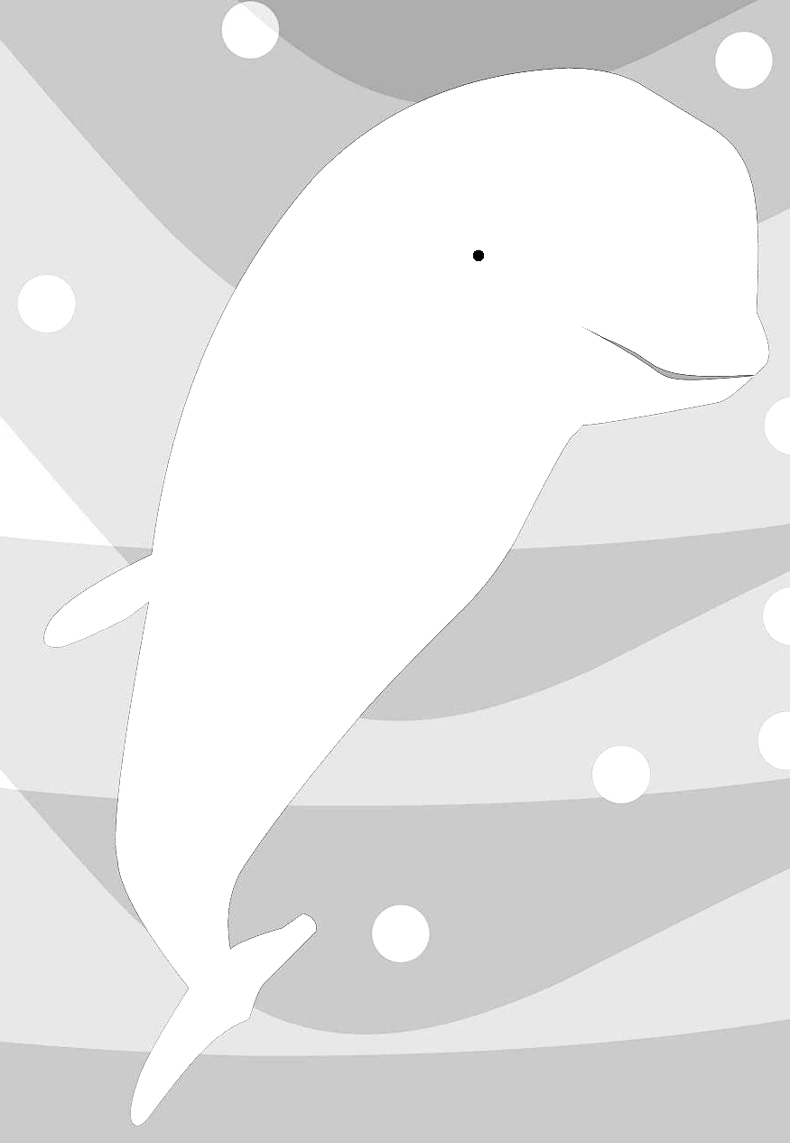 シロイルカのぬり絵絵