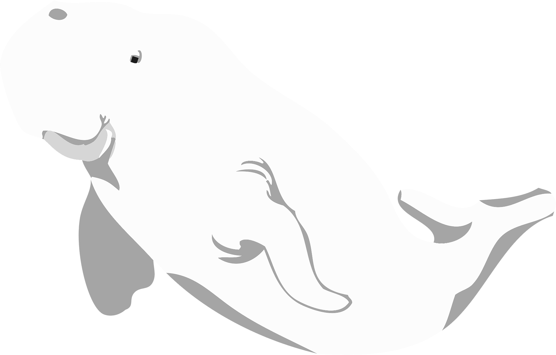 Coloring page of a beluga
